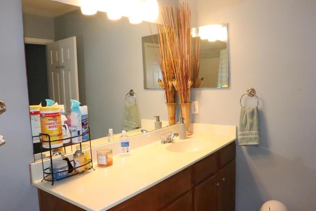 Safari Rooms Concord Luaran gambar