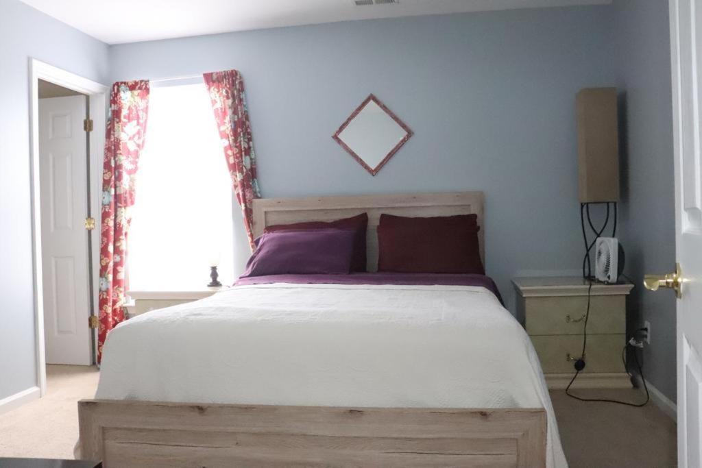 Safari Rooms Concord Luaran gambar